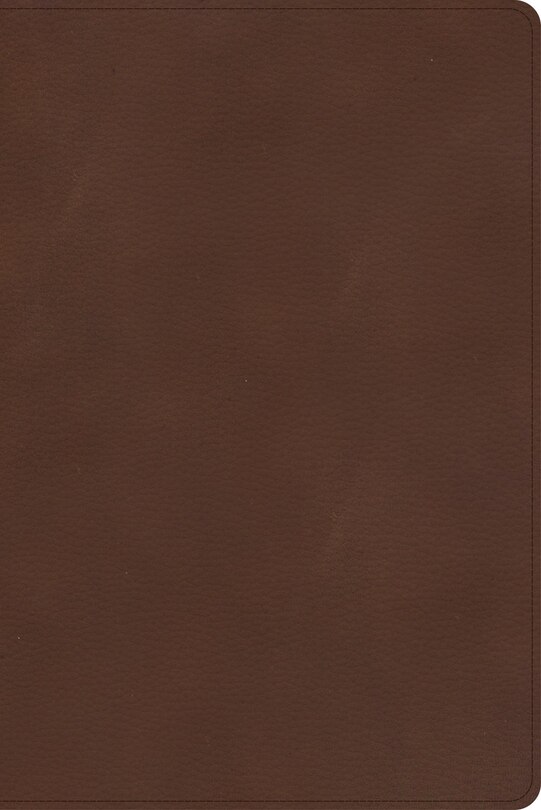 Couverture_CSB Rainbow Study Bible, Brown LeatherTouch