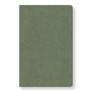 Couverture_CSB Every Day with Jesus Daily Bible, Sage LeatherTouch