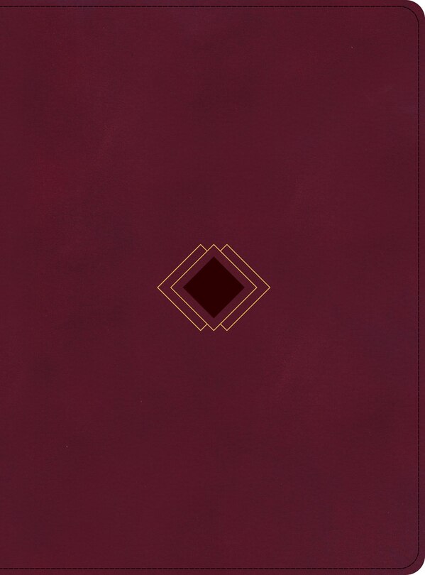 Couverture_CSB Day-by-Day Chronological Bible, Burgundy LeatherTouch