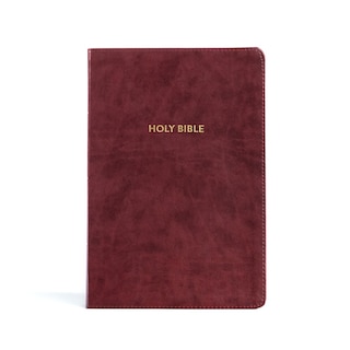Couverture_KJV Rainbow Study Bible, Burgundy LeatherTouch