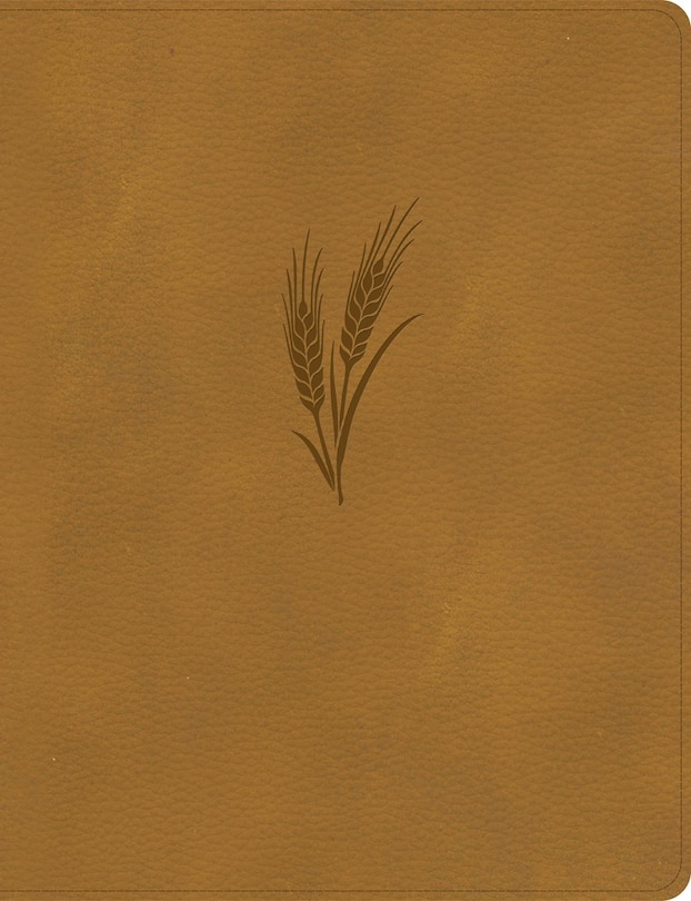Front cover_CSB Notetaking Bible, Large Print Edition, Camel LeatherTouch