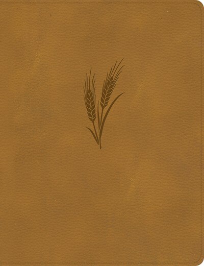 Front cover_KJV Notetaking Bible, Large Print Edition, Camel LeatherTouch