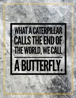 What A Caterpillar Calls The End Of The World, We Call A Butterfly.: Marble Design 100 Pages Large Size 8.5 X 11 Inches Gratitude Journal And Productivity Task Book