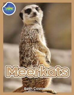 Front cover_Meerkat Activity Workbook for Kids ages 4-8