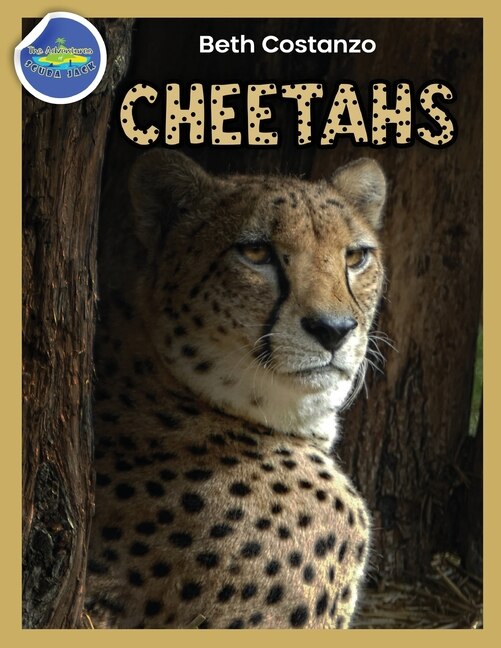 Front cover_Cheetah Activity Workbook ages 4-8