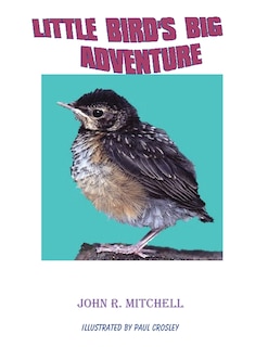 Couverture_Little Bird's Big Adventure