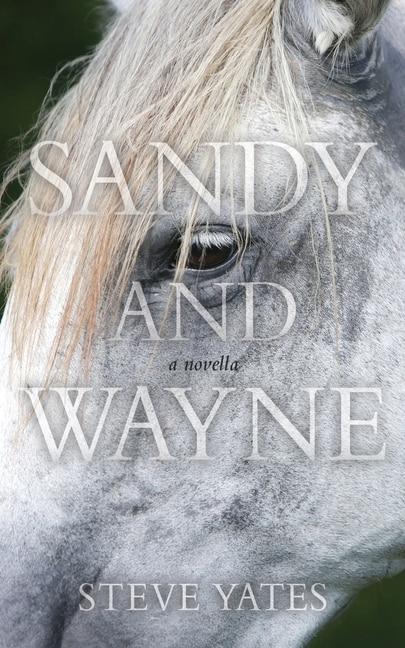 Front cover_Sandy and Wayne