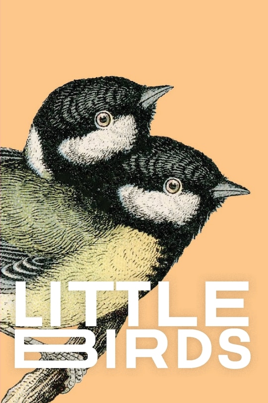 Front cover_Little Birds