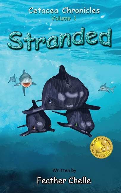 Couverture_Stranded