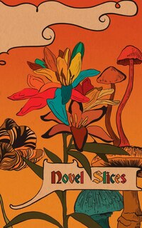 Front cover_Novel Slices Issue 3