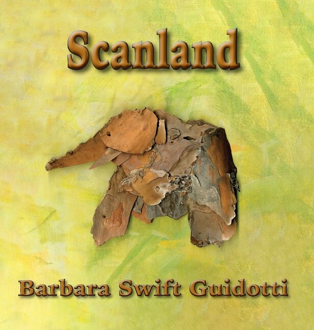 Front cover_Scanland