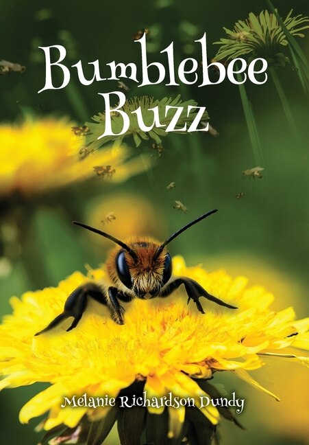 Front cover_BumbleBeeBuzz