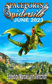 Couverture_Spaceports & Spidersilk June 2023