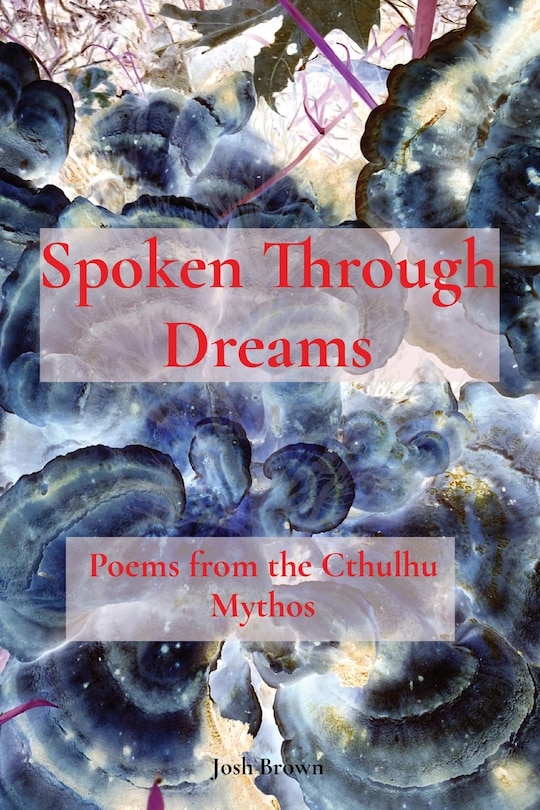 Front cover_Spoken Through Dreams