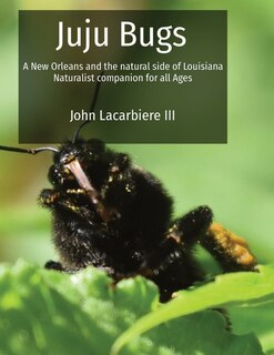 Front cover_Juju Bugs