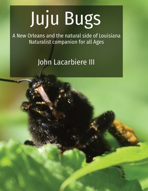Front cover_Juju Bugs