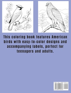 Couverture_Colorful Feathers