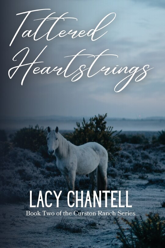 Couverture_Tattered Heartstrings