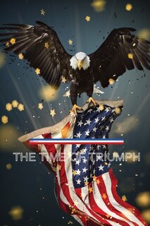 Couverture_The Time of Triumph