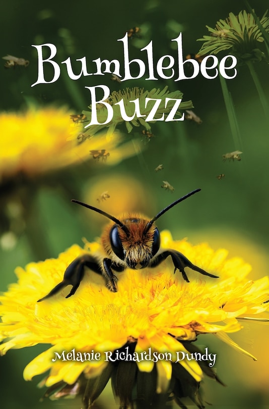 Front cover_Bumblebee Buzz