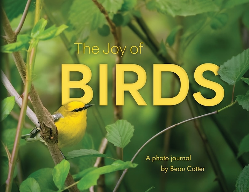 Front cover_The Joy of Birds