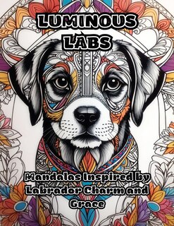 Front cover_Luminous Labs