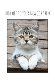 Couverture_Fuck off to your new job then