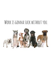 Work is gonna suck without you.: Perfect goodbye gift for coworker that is leaving / going away gift for your co worker, boss, manager, employee.