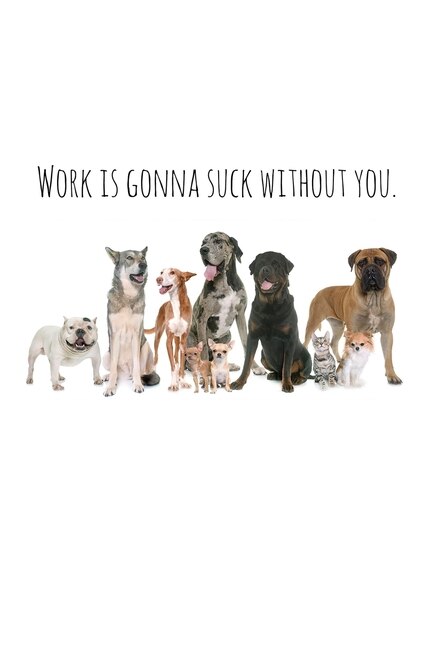 Work is gonna suck without you.: Perfect goodbye gift for coworker that is leaving / going away gift for your co worker, boss, manager, employee.