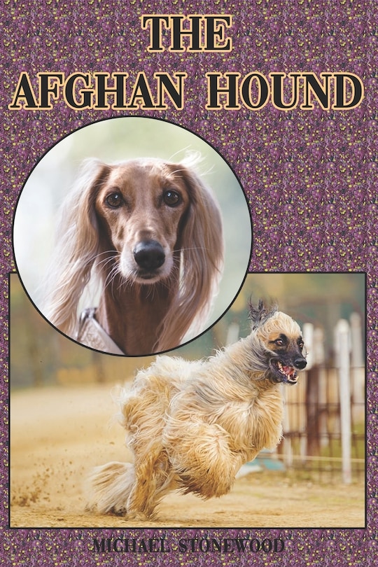 Couverture_The Afghan Hound