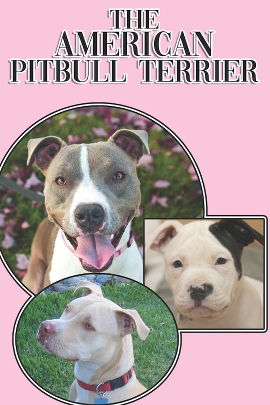 Front cover_The American Pitbull Terrier