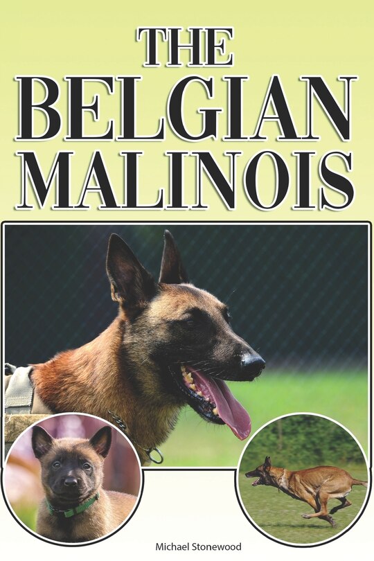 Couverture_The Belgian Malinois
