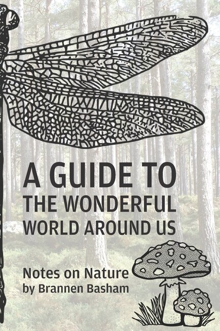 Couverture_A Guide to the Wonderful World Around Us