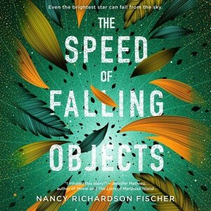 The Speed Of Falling Objects
