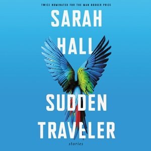 Front cover_Sudden Traveler