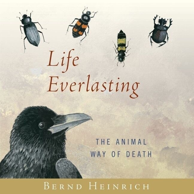 Couverture_Life Everlasting Lib/E