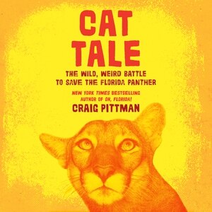 Couverture_Cat Tale