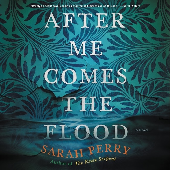 Couverture_After Me Comes the Flood