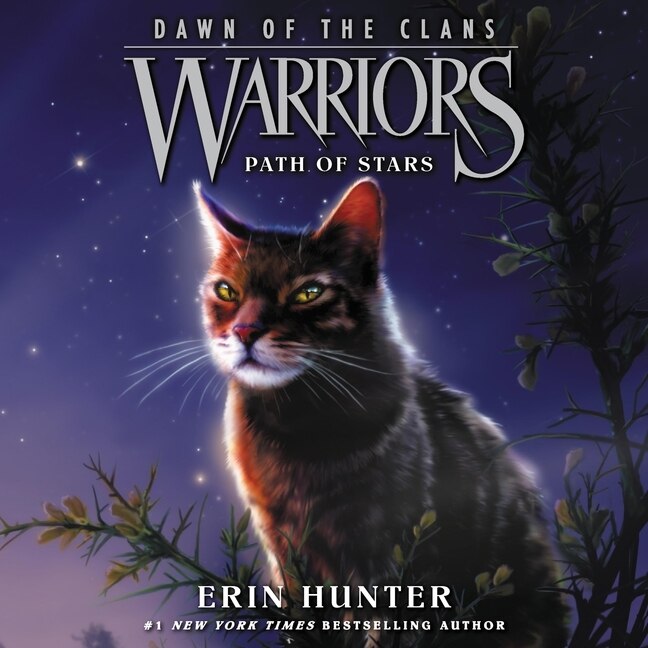 Couverture_Warriors: Dawn of the Clans #6: Path of Stars