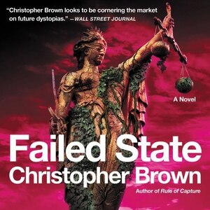 Failed State: A Novel