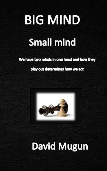 BIG MIND small mind: We have two minds in one head