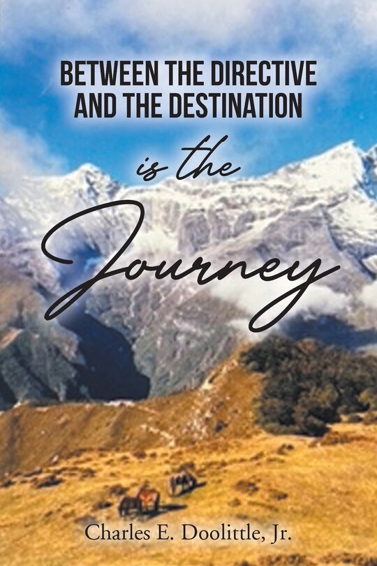 Front cover_Between the Directive and the Destination is the Journey