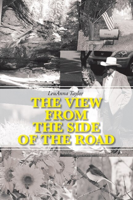 Couverture_The View from the Side of the Road
