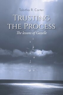 Couverture_Trusting the Process