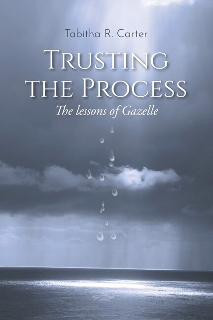 Couverture_Trusting the Process