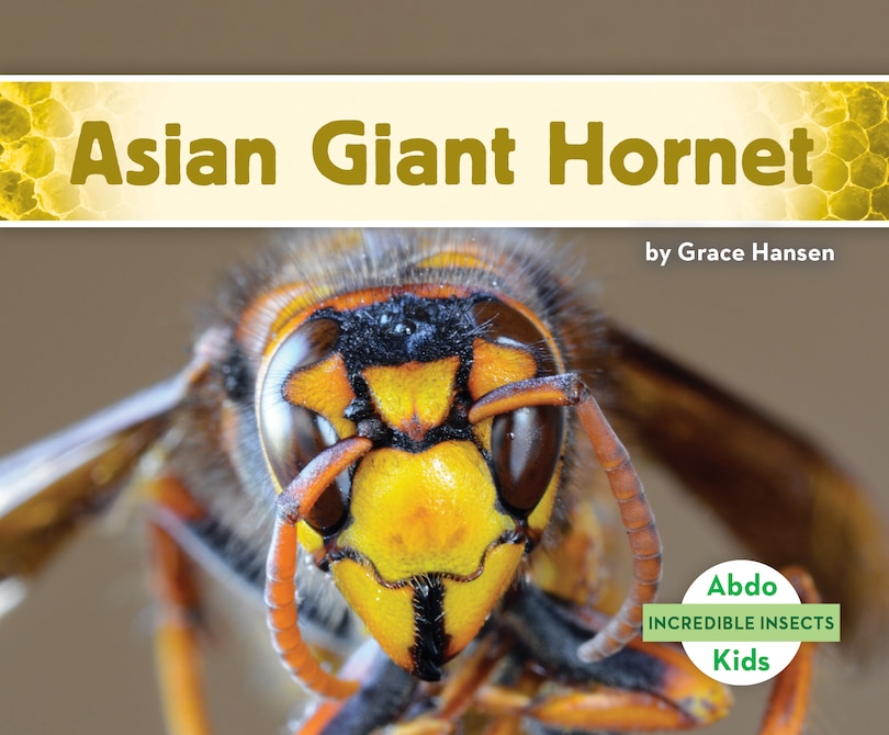 Front cover_Asian Giant Hornet