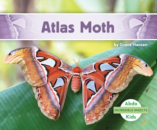 Front cover_Atlas Moth