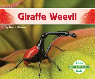 Front cover_Giraffe Weevil