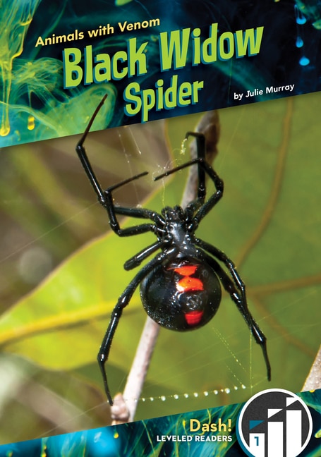 Couverture_Black Widow Spider