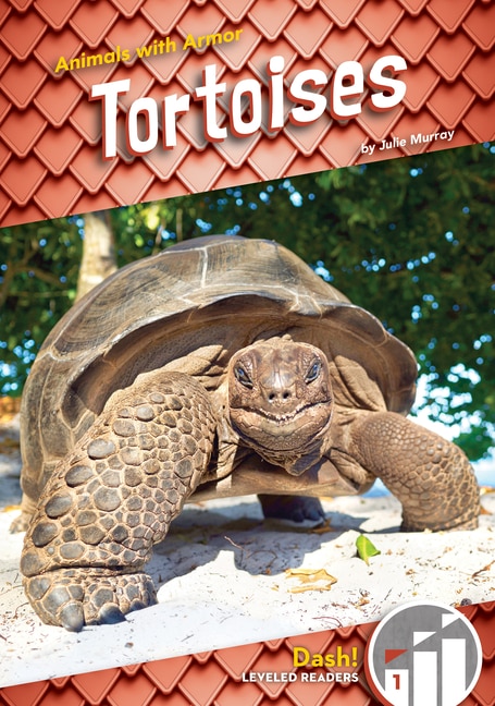 Tortoises